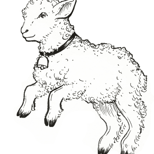 SheepSheep